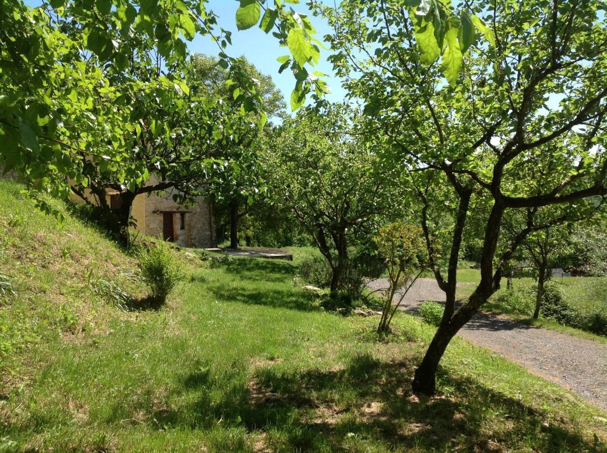 Agriturismo Il Picchio Verde Licciana Nardi Esterno foto