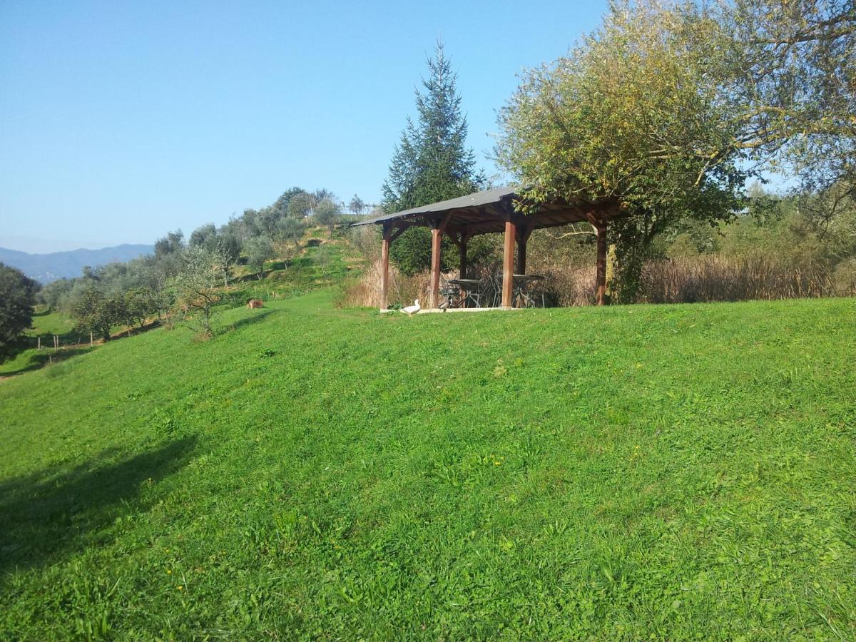 Agriturismo Il Picchio Verde Licciana Nardi Esterno foto